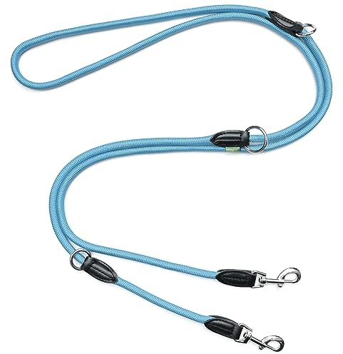 Leisegrün Verstellbare Hundeleine 3m - Robuste Nylon Doppelleine für mittelgroße bis große Hunde, 200kg Zugkraft, 2 Karabiner - Hellblau