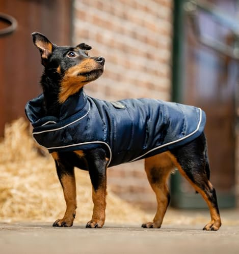 Horseware Signature Hundedecke, Größe XS, Marineblau