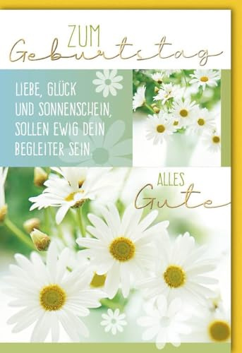 Verlag Dominique Geburtstagskarte für Männer mit Blumenmotiv und Schriftzug Zum Geburtstag Alles Gute Liebe Glück und Sonnenschein sollen ewig dein Begleiter sein mit Umschlag