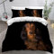 AOYNP Bettwäsche 135x200 Dackel Bettbezug Set 3 teilig Weich Microfaser Bettwaren Süß Tier Hund Bettwäsche-Set für Kinder Teenager ReißVerschluss Bettbezug Mit 2 Kissenbezug 80x80cm