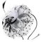 DRESHOW Fascinators Hut Blume Mesh Bänder Federn auf einem Stirnband und Einem Geteilten Clip Cocktail Tea Party Headwear für Mädchen und Damen