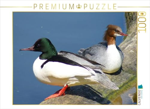 CALVENDO Puzzle Gänsesäger Paar | 1000 Teile Lege-Größe 64 x 48 cm Foto-Puzzle für glückliche Stunden