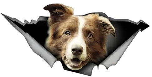 Autoaufkleber Border Collie Aufkleber 15cm(5.9 Inch) Braun Border Collie Reflektierende Aufkleber 3D Zerrissen Autoaufkleber Haustier Hund Lustig Aufkleber Gelb Border Collie Car Sticker Lustig Dekor