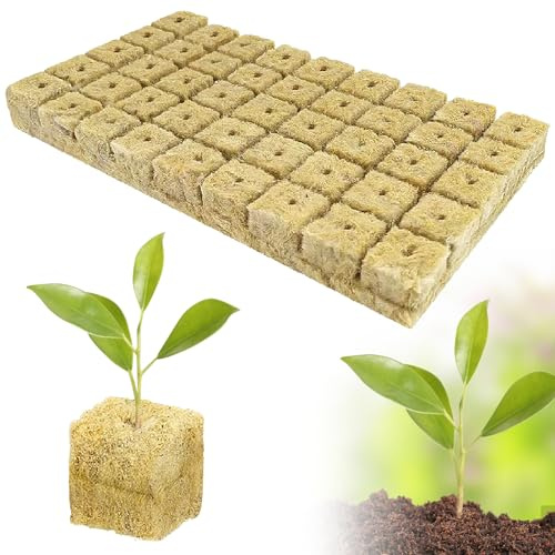 Simsky Steinwolle Anzucht Würfel Set, 50 Stück, Hydrokultur Anzuchtmatte für Stecklinge und Klonen, Bodenlos, 2,5 x 2,5 x 2,5 cm