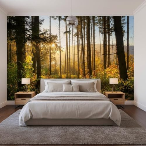 Sunny Graphics Print Sunshine Forest Wallpaper Mural Photo Pine Trees Golden Light Woodland Path for Bedroom Lounge Office Garden Decoration wallcovering Poster
