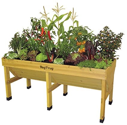 Veg Trug Hochbeet groß