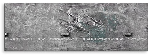 Paul Sinus Art 150x50cm Panoramabild abstrakt Leinwanddruck Kunstdruck Wandbild grau weiß Struktur