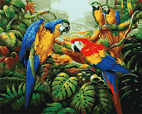 QHDXL Peinture par Numero Adulte Perroquet De Couleur Peinture à l'huile de Bricolage DIY Peindre par Nombre pour Enfants Seniors Débutan Chiffres Brosses et Peintures 40x50cm sans Cadre