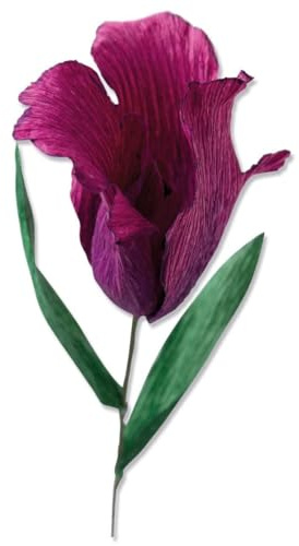 Sizzix Thinlits Matrizenset 5PK Tulpe mit Fransen von Olivia Rose, 664922