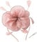 Fascinator Hat Headband,Elegant Women Fascinator Clip Flower Feather Headband Headwear Headpiece for Tea Party Church Wedding Races Ladies Derby Hat Peach Pink
