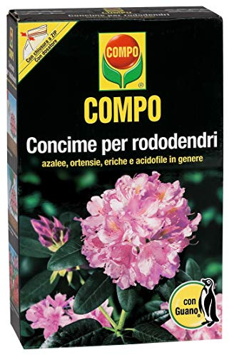 COMPO Concime per Rododendri, Con Guano, Con misurino dosatore, 1 kg