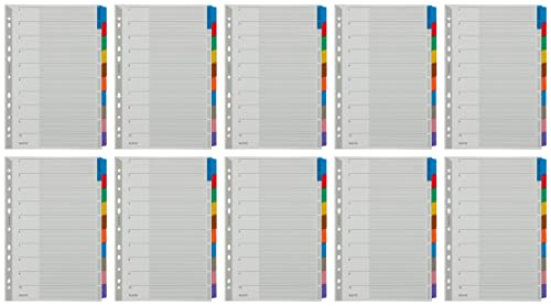 Leitz Ordner Register Blanko, 1-10, Karton, f?r A4, mit Deckblatt, 10 Trennbl?tterm, verst?rktem Lochrand und bunten Taben, 43210000 (10)