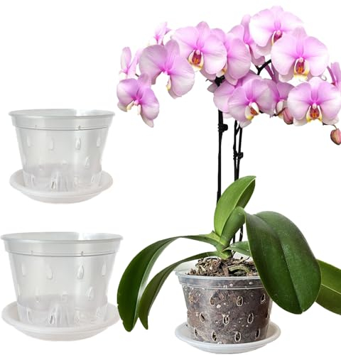 Mesoar Orchideentöpfe aus transparentem Kunststoff, 11 cm, 14 cm, mit Löchern und Untersetzern, für Pflanzen, Blumentöpfe zum Umtopfen von Orchideen, für den Innen- und Außenbereich (4, je 2 x 11 cm,
