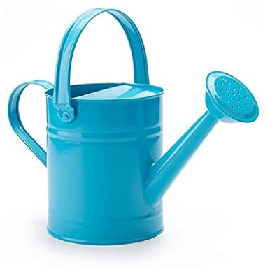 ASHSDI Regadera Plantas Regadera De Interior for Bonsái, Regadera De Hierro, Regadera De Flores De Jardín, 1,5 L Regador de Plantas (Color : Blue)