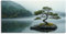 Paul Sinus Wandbild auf Leinwand in 120x60cm Bonsai Insel Nebel Leinwandbild Natur Ruhe