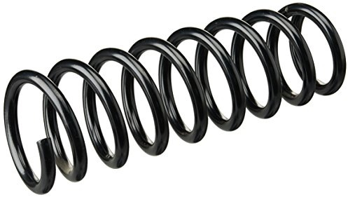 lesjofers 4244220 Coil Spring Rear