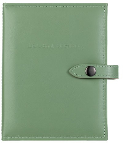 The Little Book Of Earrings in Green