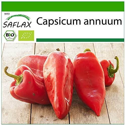 SAFLAX - BIO - Peperone - Long Red Marconi - 20 semi - Capsicum annuum