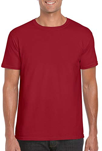 Gildan Mens Short Sleeve Soft-Style T-Shirt - grey - Large