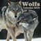 Wolf calendar 2024: September 2023 to December 2024 Monthly Weekly Organizer To Keep Track Of Dates with Amazing Aimals Design