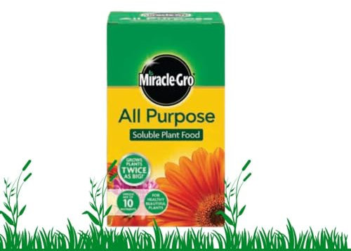Miracle Gro All Purpose Soluble Plant Food 1kg + 20% Free Extra - Grows Plants Twice as Big - For Indoor and Outdoor Planting
