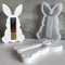 ALEFBET Silikonform Ostern Geldgeschenk, Silikonformen Gießformen Ostern Pralinenschachtel, Silikon Gießform Ostern, Gipsformen zum Gießen, Epoxidharz Formen Ostern（Kaninchen Geldgeschenk）