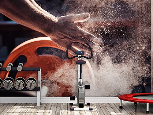 Fotomural Vinilo Pared Deportivo Barato Hall Gym | Fotomurales Pared | Fotomural Decorativo | Mural | Vinilo Decorativo | Varias Medidas 200 x 150 cm | Decoración Gimnasios | Deportes Varios
