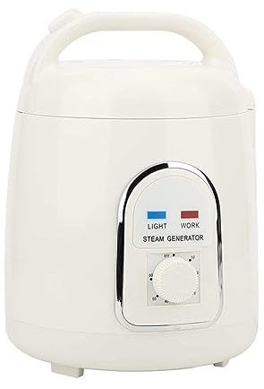 ARTGOS Dampfduschgenerator, 1,5 l explosionsschützte Saunen, Spa, 850 W neratoren, räte, Dampftopfmaschinen, elektrische Verdampfer-Werkzeu, halten die sundheit, verlieren Wicht Sauna-Spa-Maschine