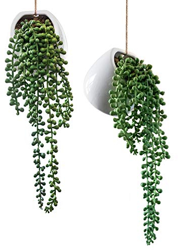 Royal Imports Künstliche Senecio Pflanze, Perlenkette Dekorative Keramik Wandbehang Pflanzgefäße Lebensechte Rowleyanus Pflanzen 2 Stück