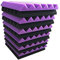 Noppenschaumstoff,Akustikschaumstoff Platten,30x30x2,5cm Akustikschaumstoff,Dämmung,Schallabsorbierende für Aufnahmestudios,Fernsehzimmer(Schwarz/Violett) 12 Stück