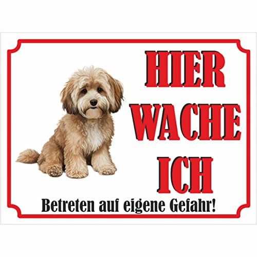 INDIGOS UG - Maltipoo - Schild bedruckt - Hier wache ich - Aluverbundplatte weiß - ab 20x15 cm - Spruch - Deko Geschenkidee für Ihren Hund - Zaun - Türschild