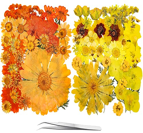 YouthBro 81 Stück Orange Gelbe Getrocknete Gepresste Blumen für Harz Echte Naturblumen Kräuterset für DIY Schmuck, Kerzen, Seifen, Vasenherstellung, Nagelkarten, Scrapbook-Kunsthandwerk