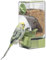 Mangeoire Automatique pour Oiseaux, Mangeoire à Cage à Oiseaux avec Perruche pour Perruche Canari Calopsitte Pinson