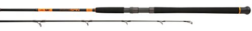 Fox Rage Catfish Pro Series Rod Spin 2,70m 40-180g BRD006 Welsrute Wallerrute