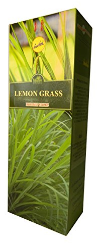 Sree Vani Räucherstäbchen Lemon Grass 120 Sticks Zitronengras Duft 6 Schachteln zu je 20 Stäbchen Vorratspackung Wohnaccessoire Raumduft