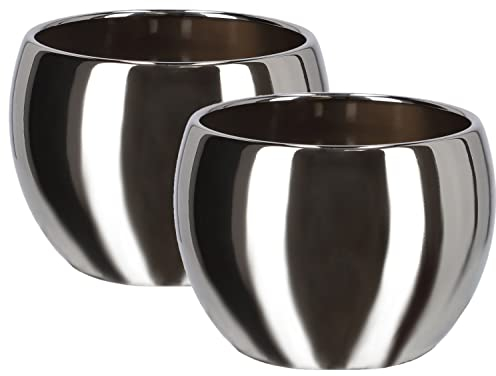 KOTARBAU® Lot de 2 pots de fleurs en céramique Argenté Diamètre 10 cm
