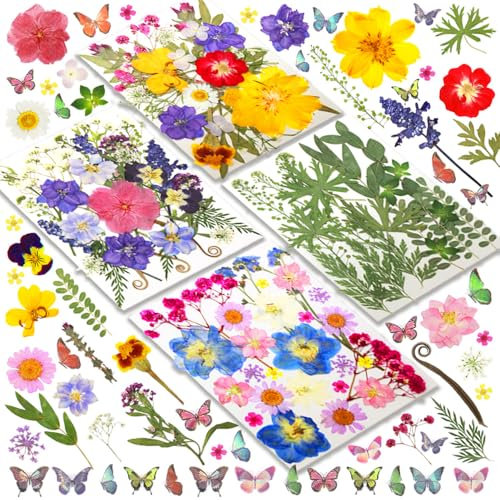 Fiori Secchi Decorativi Set di 120 pz 30 Tipi di Fiori Secchi Prensati per Decorazioni DIY Scrapbooking Resina Gioielli Fatti a Mano con Stickers Farfalle e Pinza