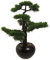Künstlicher Zeder Bonsai ca. 60cm hoch im wertigen Keramiktopf mit feinen Kieselsteinen