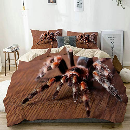 KOSALAER Bettwäsche Set,Süße Spinne,3 Teilig Bettbezüge Mikrofaser Bettbezug 200 x 200cm mit Reißverschluss und 1 Kissenbezug