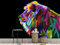Oedim Children's Wallpaper for Lion Pop Art Black Background | Mural | Children's Wallpaper | Dining Rooms, Living Rooms, Bedrooms