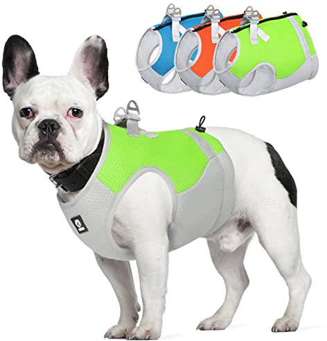 LiebeDD Kühlweste Hund Sommer Abkühlung Jacket für Hunde, Verstellbar Atmungsaktiv Hundeweste mit D-Ring Sonnenschutz Hund Warnweste Hundemantel für Kleine Mittelgroße Große Hunde, Grün, S