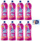 8x Ace Candeggina Più +Denso Armonie Floreali - igienizza superfici e bucato in profondità - Bottiglia Squeeze 1Lt + 1 Confezione di Talco Felce Azzurra in omaggio, Busta da 100g