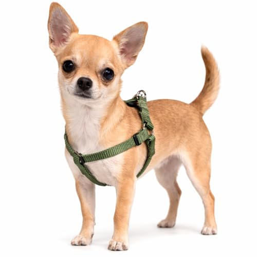 hundegeschirr - ziggi kaki Step&go - größe XS - 20-35 cm / 20-35 cm - 10 mm - Nylon hundegeschirr verstellbar