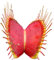 Dionaea muscipula (La Dionée attrape-mouche) - plante carnivore - 20 graines