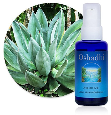OSHADHI Aloe Vera Gel Bio 30ml - 98 % REINES Aloe Vera - Zertifiziert & Kontrolliert Biologisch - After Sun Pflege - für Gesicht und Körper - Vegan, Bio und Tierversuchsfrei - Natürliche Pflege
