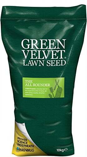 Green Velvet 10kg Lawn Seed The All Rounder