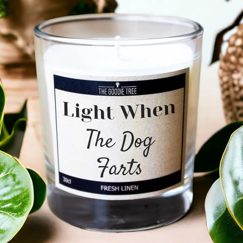 Light When The Dog F@rts Scented Candle 30cl - Includes Gift Box - Funny Gift Ideas - Christmas - Birthdays - for Mum, for Dad - for Men & Women, Friends, Soy Blend
