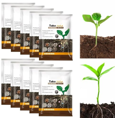 Hormone de Bouturage,300g Poudre D'enracinement pour Boutures,Poudre D'enracinement Succulente,Tonifie et Renforce la Croissance des Plantes et des Racines