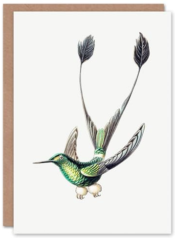 Artery8 Ernst Haeckel Art Card Marvelous Spatuletail Hummingbird