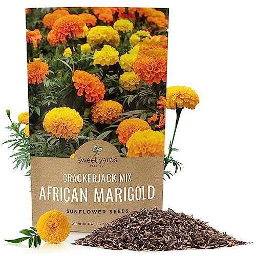 African Marigold Seeds Crackerjack Mix - Bulk 1/4 Pound Bag - Over 40,000 Seeds - Huge Orange and Yellow Blooms